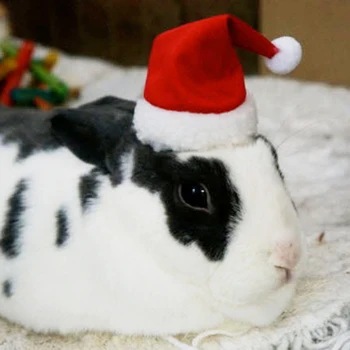 Animale mici de Companie Moș Crăciun Pălărie de Iepure, Hamster, cobai, Șobolani Festival Costum de Crăciun Capac cu Trupa Produse pentru animale de Companie