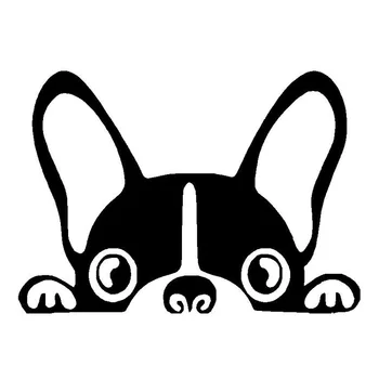 Boston Terrier-Caine Vinil Decal Drăguț Amuzant Peep Animal Coada de Mașini Autocolante Decorative Negru/Argintiu 15.2*10.8 CM