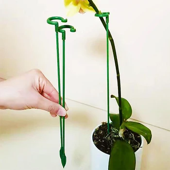 Gradina De Bonsai Suport Miza Stander Singură Tulpină Arbust Titularul De Plante Suportul Suculente Flori Phalaenopsis In Ghiveci Suport Tija Noua